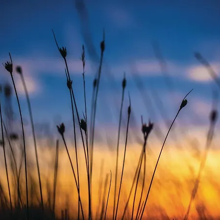 2 Bedroom Awesome In Apartament